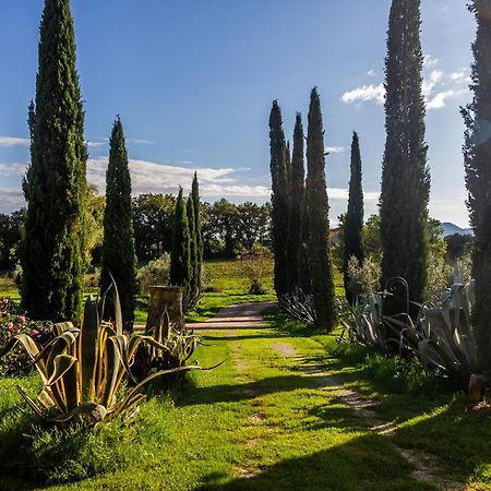 Agriturismo Bio Fattoria Casetta غافورانا المظهر الخارجي الصورة