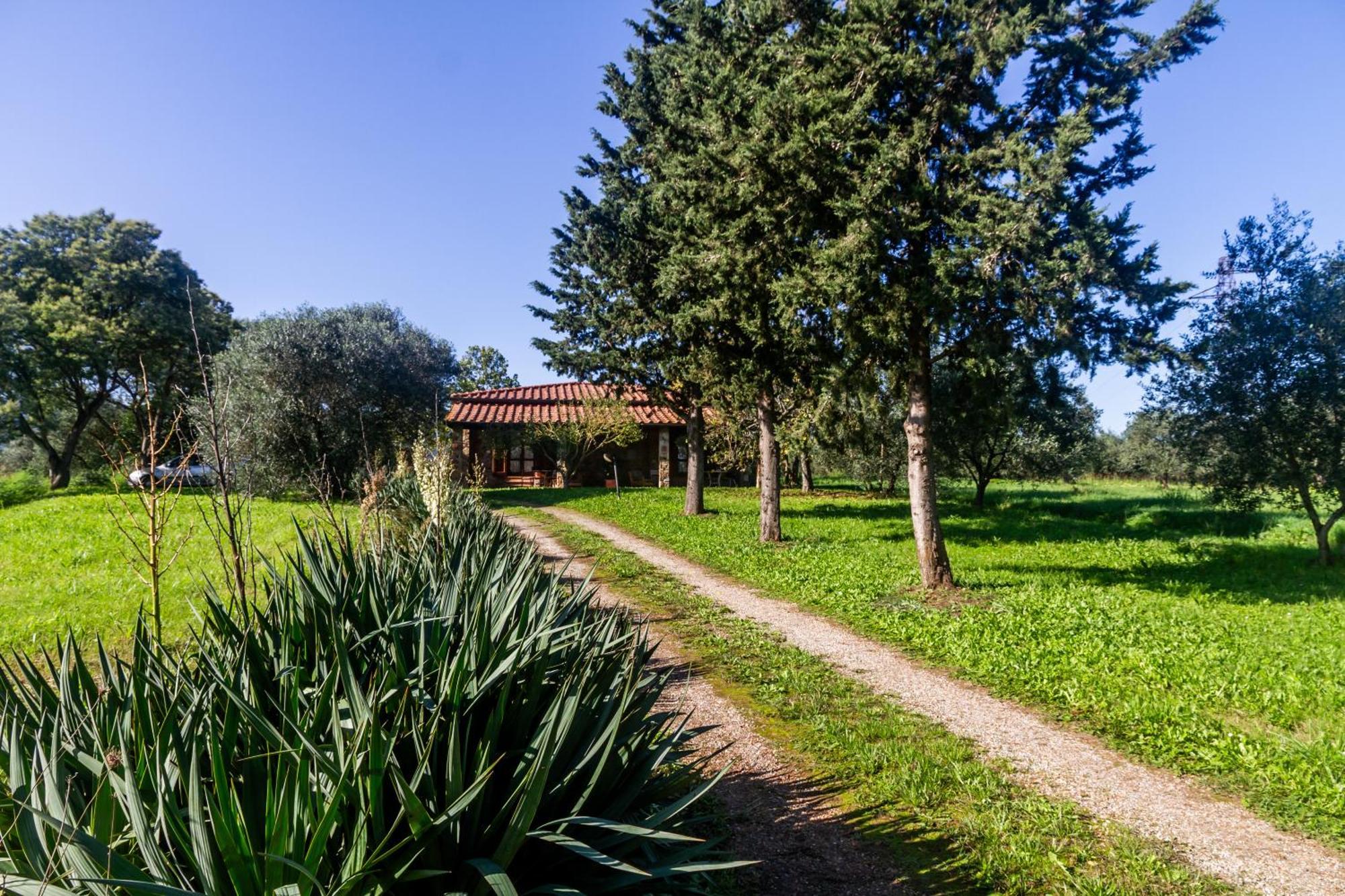 Agriturismo Bio Fattoria Casetta غافورانا المظهر الخارجي الصورة